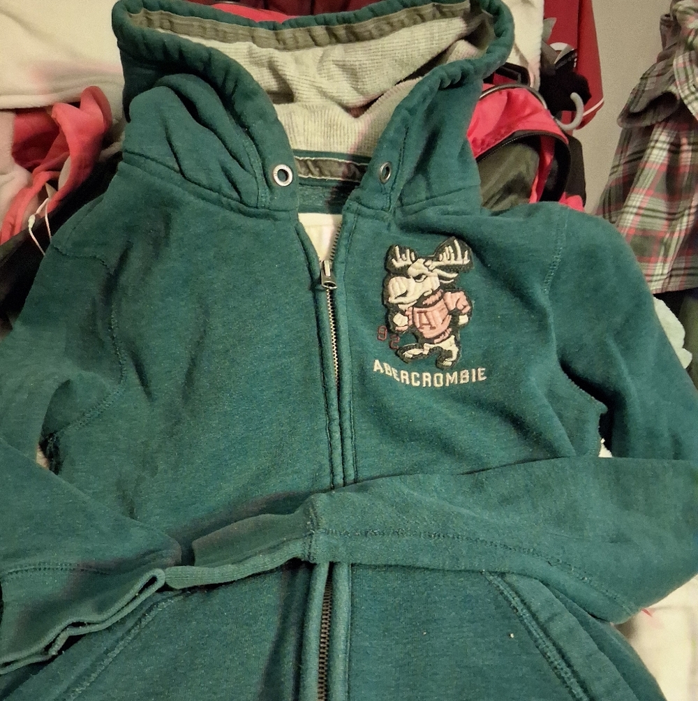 Abercrombie & Fitch Kids Teal Hoodie with Moose Design